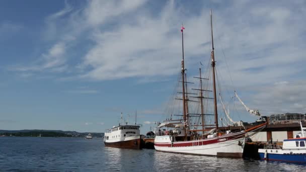 Haven Met Boten Oslo Noorwegen — Stockvideo