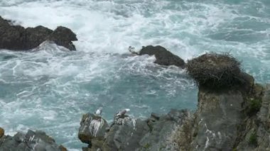 Güneybatı Alentejo ve Vicentine Coast Natural Park Portekiz 'de Praia do Creleizao çevresindeki dalgalı kıyılar.