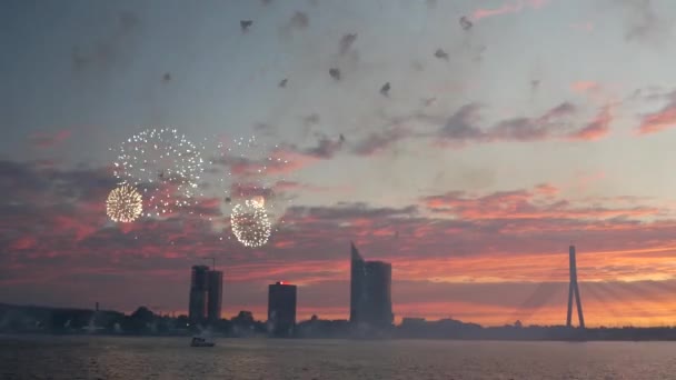 Fogos Artifício Durante Pôr Sol Riga Com Ponte Vanus Letónia — Vídeo de Stock