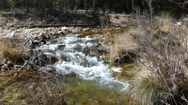 西班牙Sierras Cazorla Segura Las Villas自然公园的溪流 — 图库视频影像
