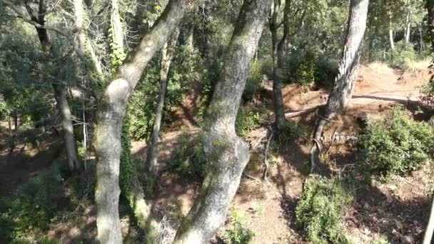 Krajina Kolem Pohoří Serra Del Montsi Katalánsku Španělsko — Stock video