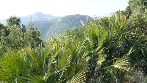 Lanskap Sekitar Pegunungan Serra Del Montsi Catalunya Spanyol — Stok Video