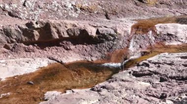 Serra d Epad doğal parkındaki meyve ağaçlarının terasından yukarı doğru eğil İspanya