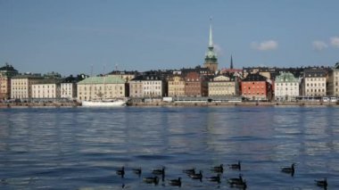 İsveç 'in arka planında Gamla Stan' li Kanada Kazları var.