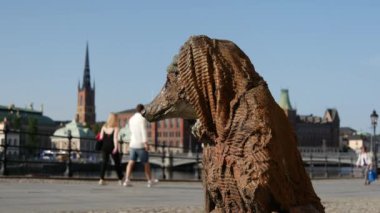 Stockholm 'de arkasında Riddarholm Kilisesi olan bir battaniye heykeli olan paçavra ve kemik.