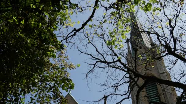 Sveç Stockholm Deki Ağaçların Arkasındaki Oscar Kilisesi — Stok video