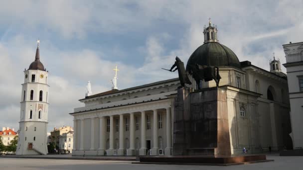 Vilnius Litvanya Daki Katedral Meydanı — Stok video