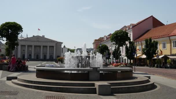 Vilnius Litvanya Daki Belediye Meydanı Nda Çeşme — Stok video