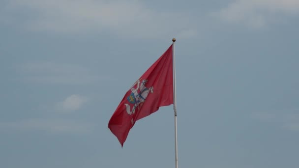 Bandeira Vilnius Lithuania — Vídeo de Stock