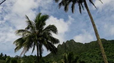 Dağ manzarası Rarotonga Cook Adaları