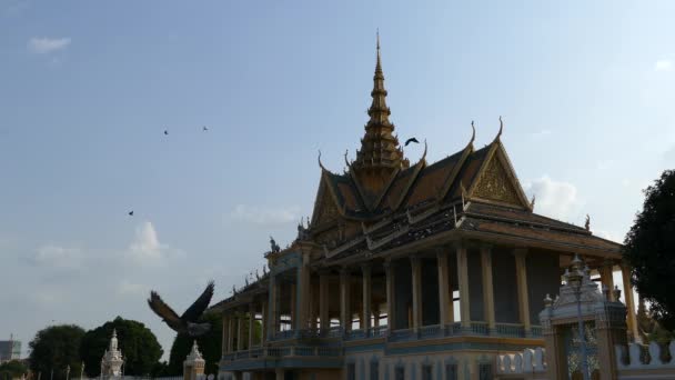 Pigeons Volant Autour Pavillon Clair Lune Parc Palais Royal Phnom — Video