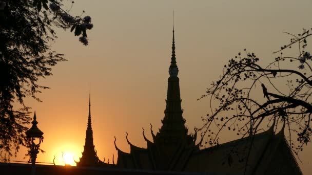 Tempo Desde Pôr Sol Palácio Real Phnom Penh Camboja — Vídeo de Stock