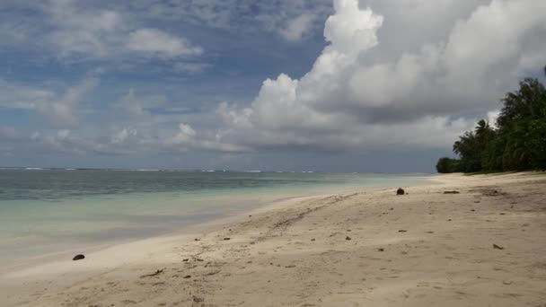 Pan Από Την Παραλία Ραροτόνγκα Νήσοι Κουκ — Αρχείο Βίντεο