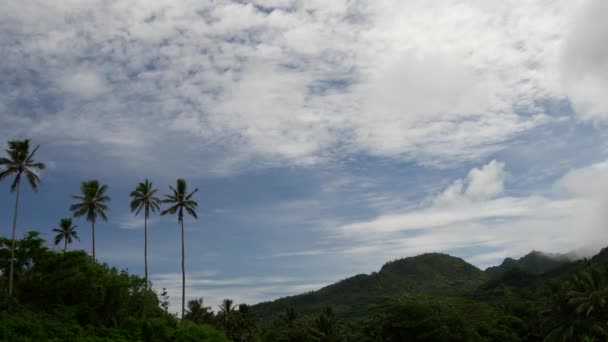 Tempo Decorrido Lado País Das Ilhas Cook Rarotonga — Vídeo de Stock