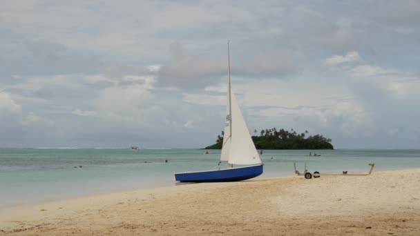 Velero Playa Rarotonga Islas Cook — Vídeos de Stock