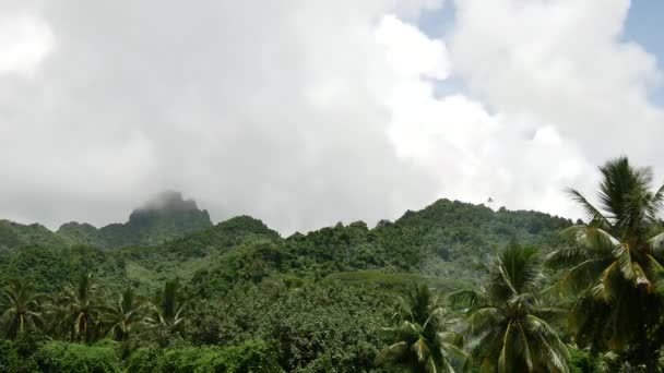 Τοπίο Time Lapse Rarotonga Νήσοι Κουκ — Αρχείο Βίντεο