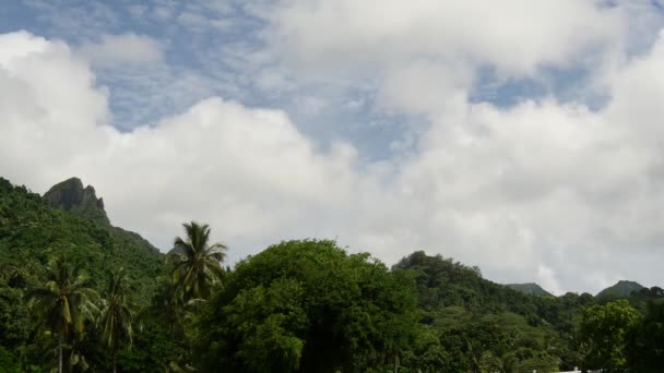 Tempo Lapso Paisagem Montanhosa Rarotonga Ilhas Cook — Vídeo de Stock