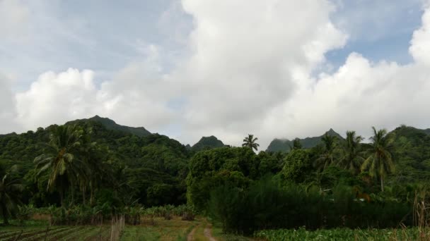 ラロトンガ島からの風景時間の経過 — ストック動画