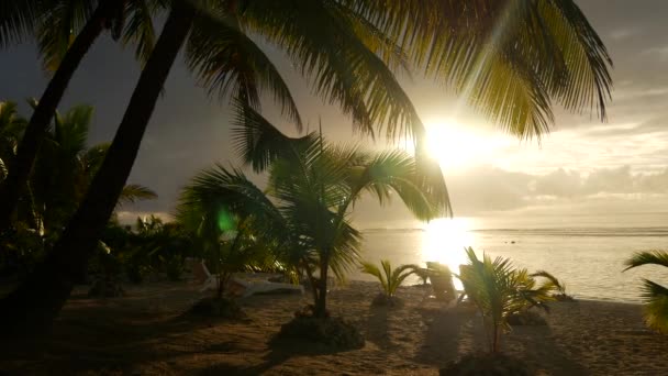 Время Захода Солнца Пляже Островах Кука Раротонга — стоковое видео