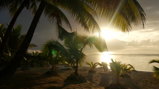 Ηλιοβασίλεμα Στην Παραλία Των Νήσων Κουκ Ραροτόνγκα — Αρχείο Βίντεο