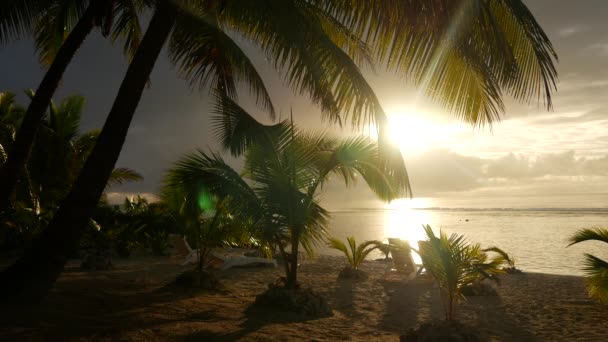 Coucher de soleil sur la plage à Rarotonga Îles Cook