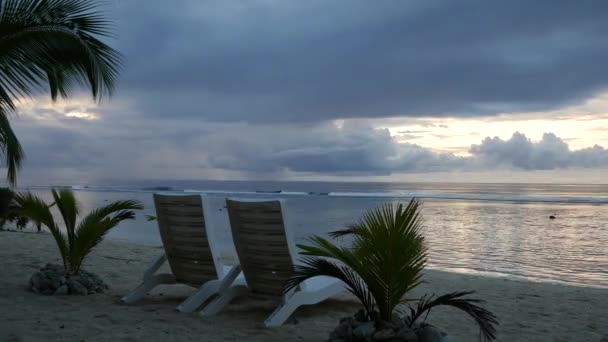 Scaune Plajă Plaja Din Rarotonga Insulele Cook — Videoclip de stoc