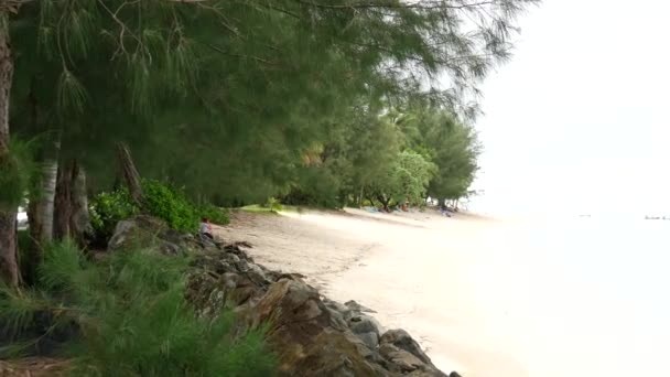 Пан Дороги Пляжу Островах Кука Раротонга — стоковое видео