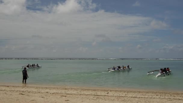 Panela Barcos Canoagem Tradicionais Que Competem Rarotonga Ilhas Cook — Vídeo de Stock