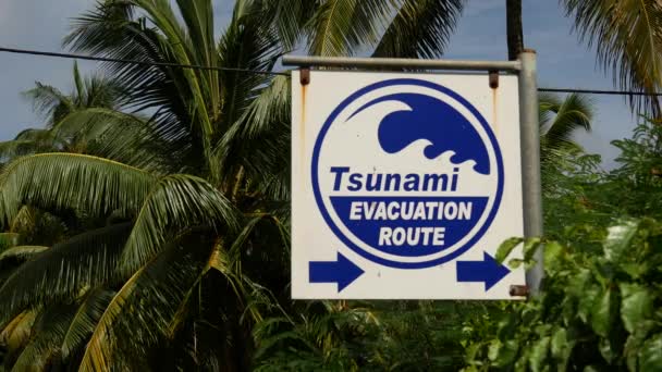 Rarotonga Cook Adaları Ndaki Tsunami Tabelasının Yakınında — Stok video