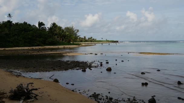 Praia Rarotonga Ilhas Cook — Vídeo de Stock