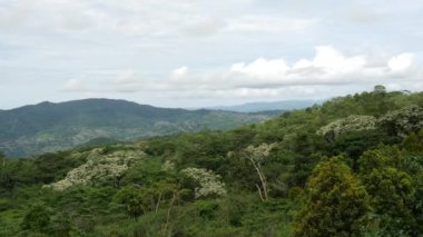 Flores ormanı ve dağ manzarası zaman aşımına uğradı