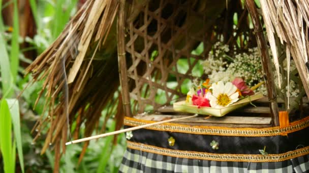 Nahaufnahme Von Räucherwerk Und Angebot Einem Garten Auf Bali Indonesien — Stockvideo