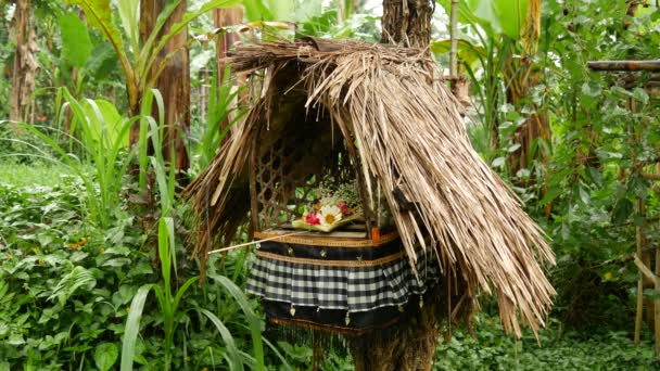 Wierook Aanbod Een Tuin Bali Indonesië — Stockvideo