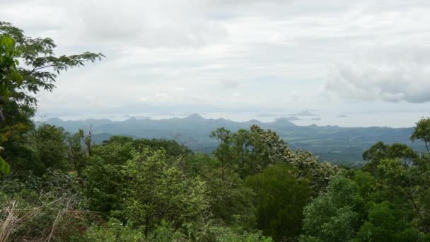 Dżungla Flores Krajobraz Górski — Wideo stockowe