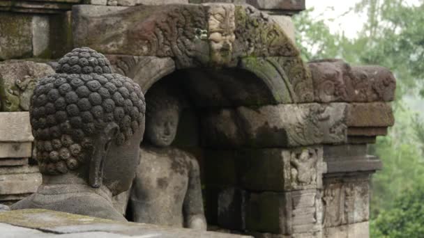 インドネシア中部ジャワ州マゲランにある9世紀の大乗仏教寺院ボロブドゥールの仏像まで傾斜 — ストック動画