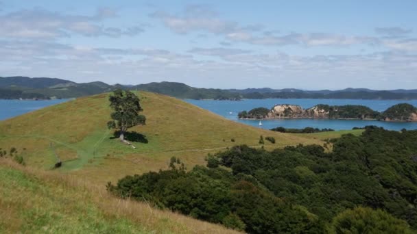 Pan Urupukapuka Island Largest Island Bay Islands New Zealand — Stock Video