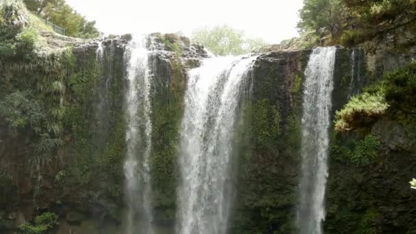 Κοντινό Πλάνο Του Whangarei Falls Στη Νέα Ζηλανδία — Αρχείο Βίντεο