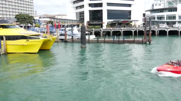 ニュージーランドのオークランド港に到着したアドベンチャージェット — ストック動画