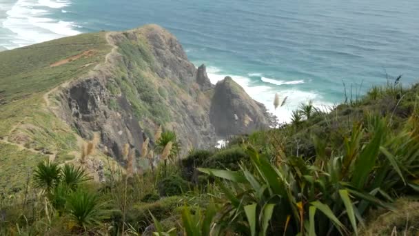 Cape Reinga Het Meest Noordwestelijke Puntje Van Het Schiereiland Aupouri — Stockvideo