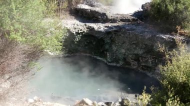 Rotorua Yeni Zelanda 'daki Whakarewarewa termal vadisinde gayzerler