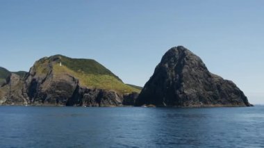 Yeni Zelanda 'nın Percy Adası Motukkako Körfezi' ndeki The Hole in the Rock 'tan denize açılmak.