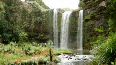 Yeni Zelanda 'daki Whangarei Şelalesi' nde dolaşan bir turist.