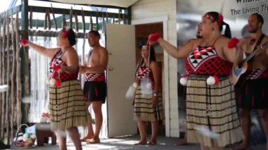 Rotorua Yeni Zelanda 'daki Whakarewarewa termal vadisindeki Maori performansı için alkış.