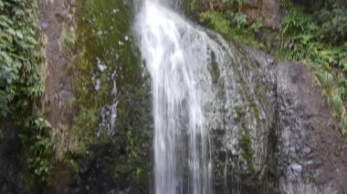 Yeni Zelanda, Auckland yakınlarındaki Kitekite Şelalesi 'ne 3 katmanlı şelaleye git.