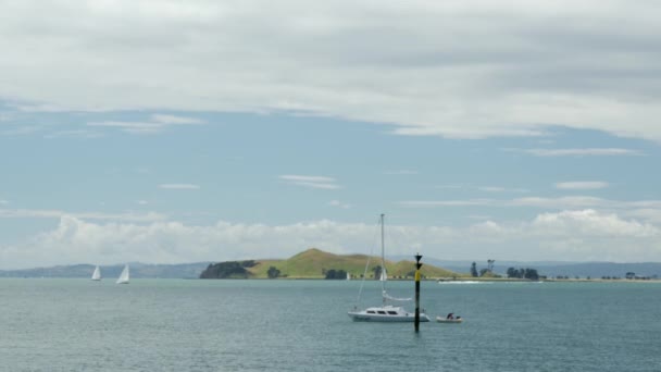 Blick Von Der Rangitoto Insel Auckland Neuseeland — Stockvideo