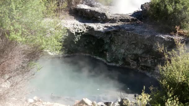 Geysers Belül Whakarewarewa Termálvölgy Rotorua Zéland — Stock videók