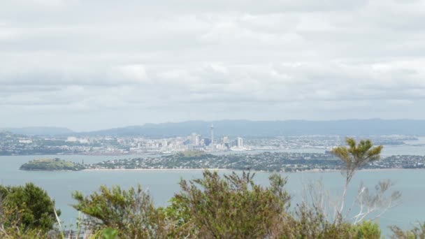 Aussichtspunkt Von Rangitoto Island Auckland Neuseeland — Stockvideo
