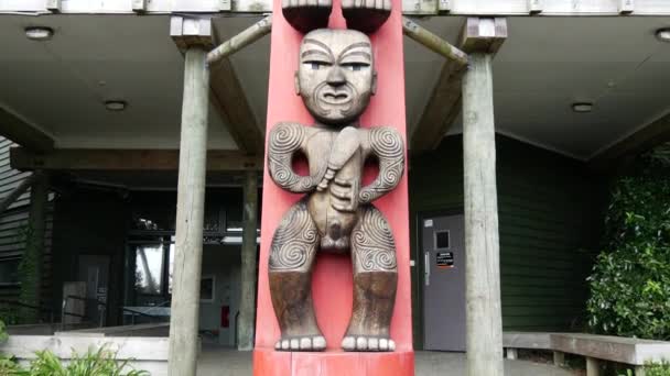 Vipp Fra Maori Statuene Ved Inngangen Til Waitakere Regionale Park – stockvideo
