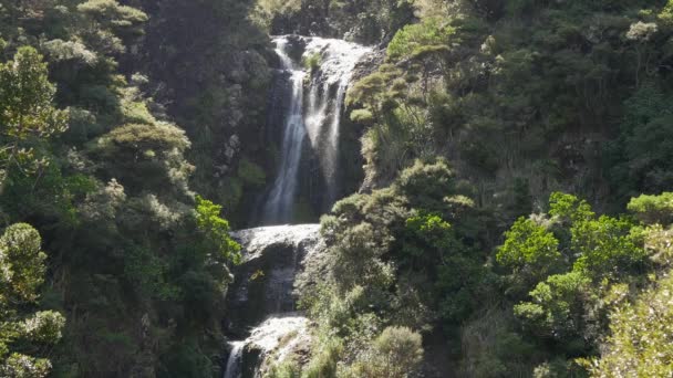 Zbliżenie Kitekite Falls Poziomowy Piha Nowa Zelandia — Wideo stockowe