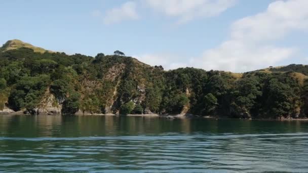 Yeni Zelanda Daki Adalar Körfezi Nden Geçiyor — Stok video